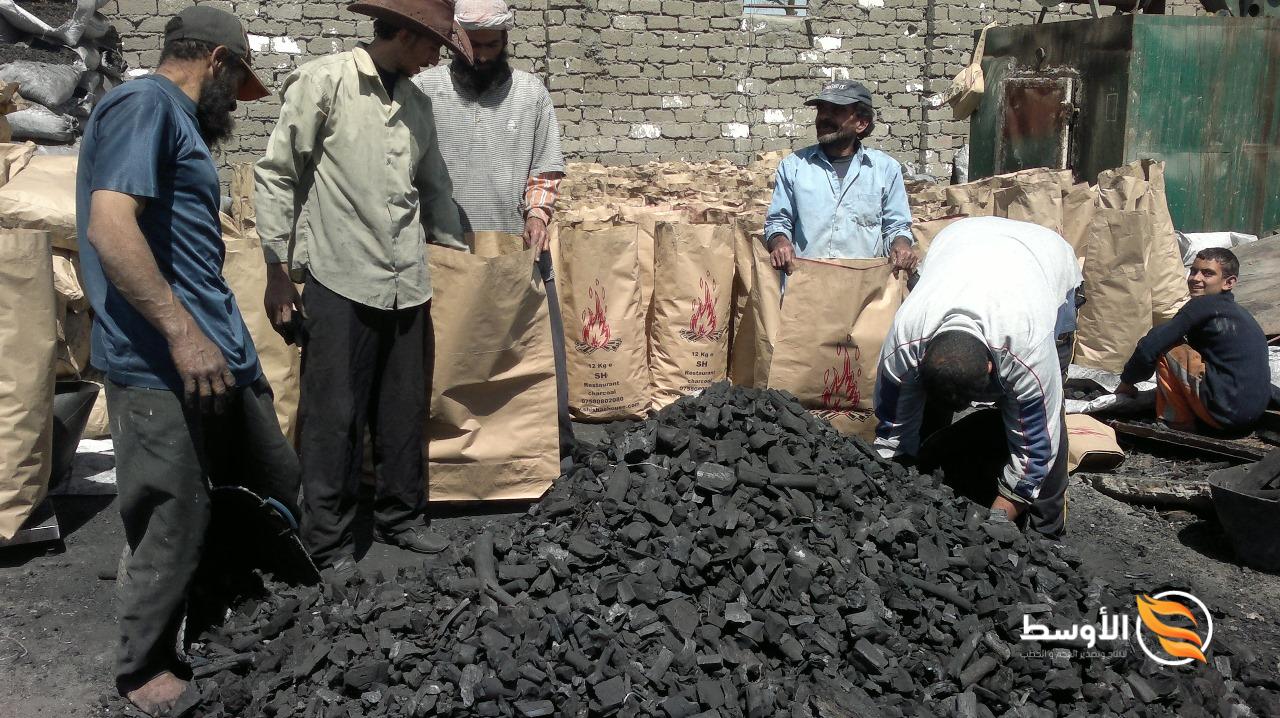 الرئيسية - الرئيسية -