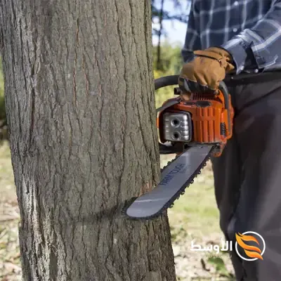 فحم الجزوريـن - استيراد وتصدير الفحم النباتى