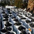 Mısır’daki en iyi kömür fiyatlarını sizlere sunuyoruz