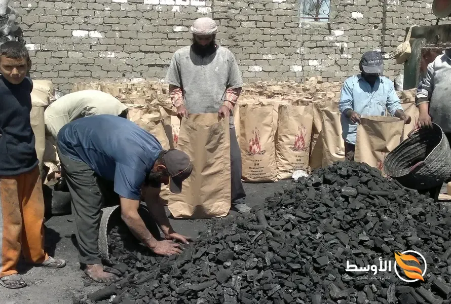 غربلة الفحم وتنظيفه - استيراد وتصدير الفحم النباتى طريقة غربلة الفحم وتنظيفه