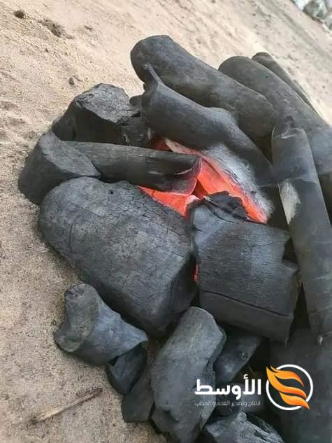 فحم الطلح -