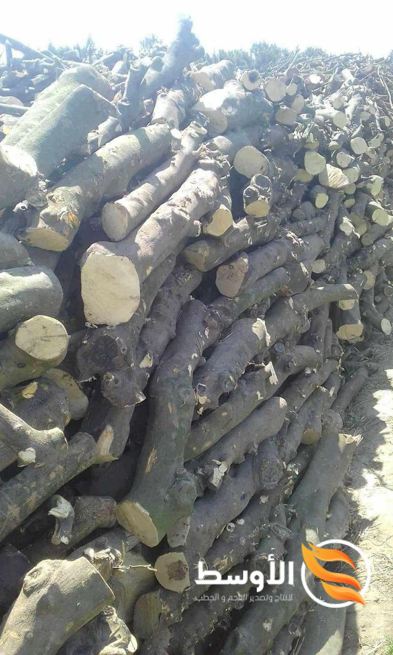 Orange firewood - حطب برتقال