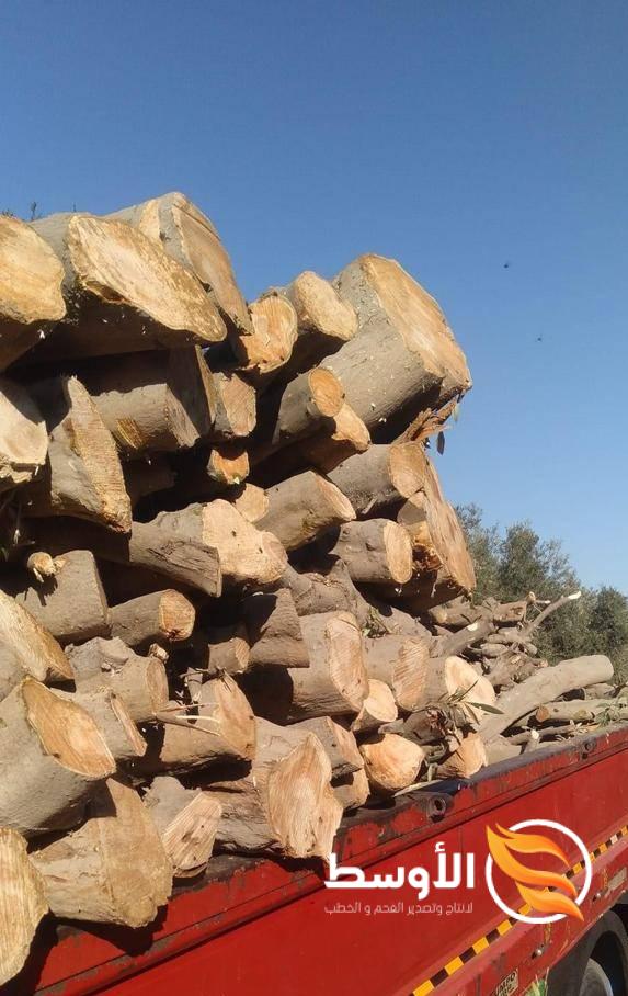 Olive Firewood - Olive Firewood -