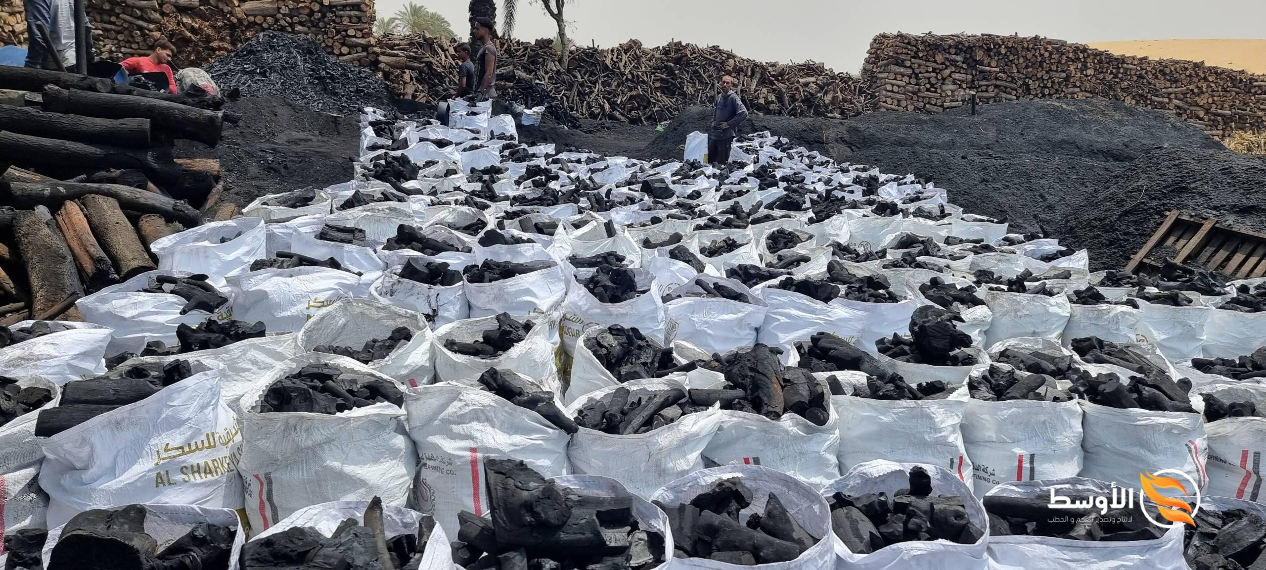 الرئيسية - الرئيسية -