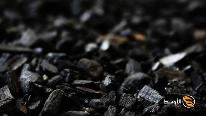 الفحم الخام: تكوينه، استخداماته وآثاره البيئية والبدائل - استيراد وتصدير الفحم النباتى