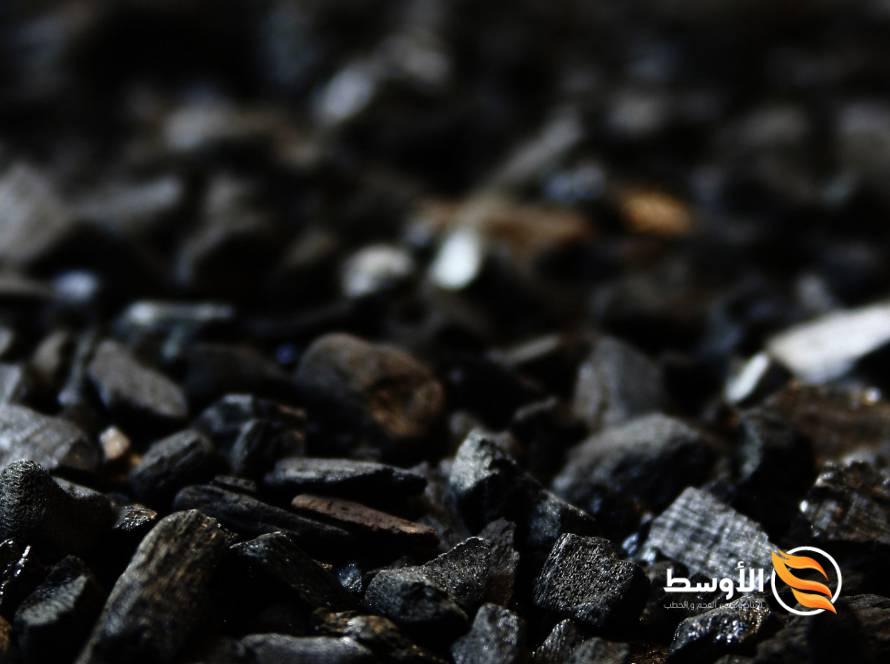 الفحم الخام: تكوينه، استخداماته وآثاره البيئية والبدائل - استيراد وتصدير الفحم النباتى