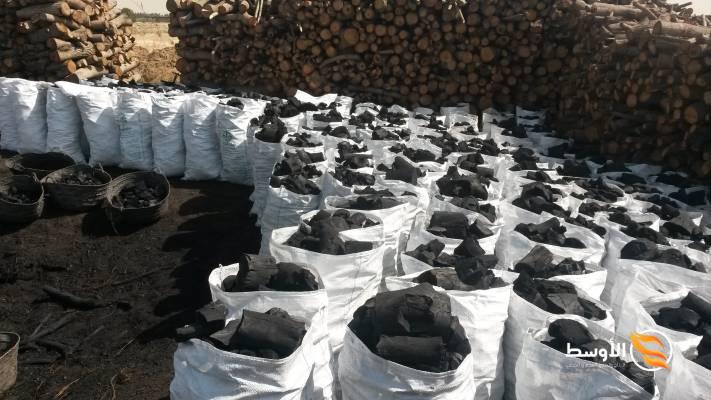 Casuarina Charcoal - Import and export of charcoal