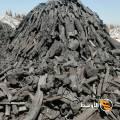Casuarina Charcoal