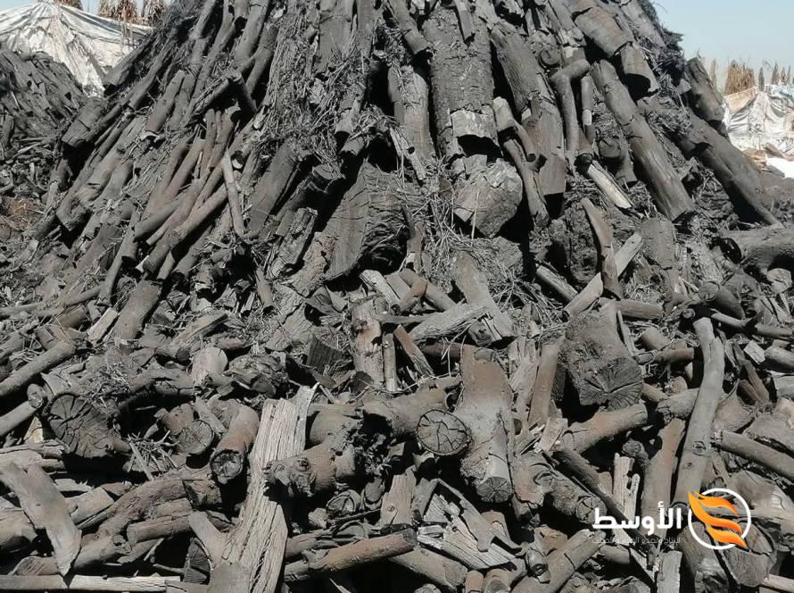 Casuarina Charcoal - Import and export of charcoal