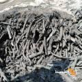 Charcoal Egypt1