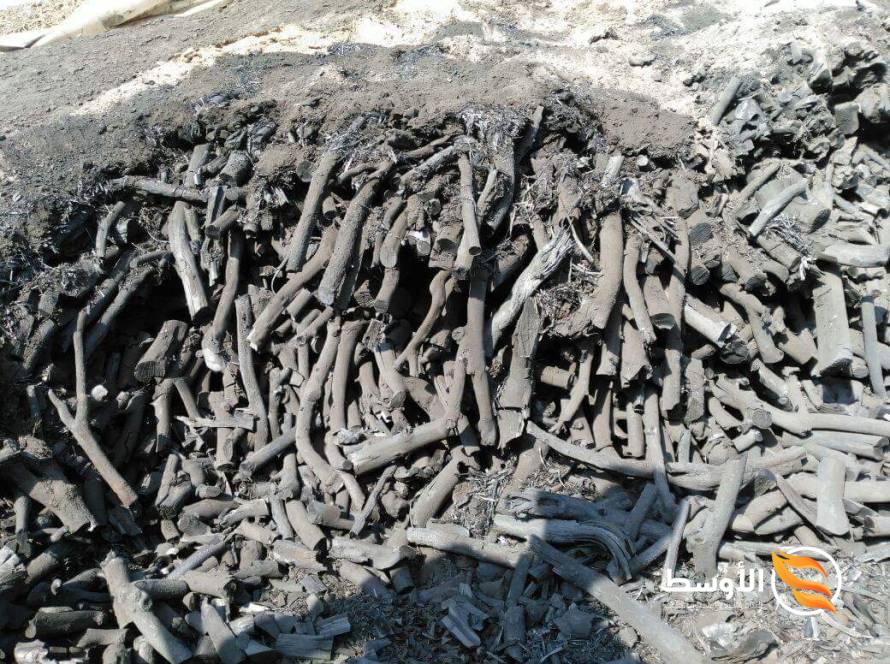 Charcoal Egypt1 - استيراد وتصدير الفحم النباتى Charcoal Egypt1 - استيراد وتصدير الفحم النباتى